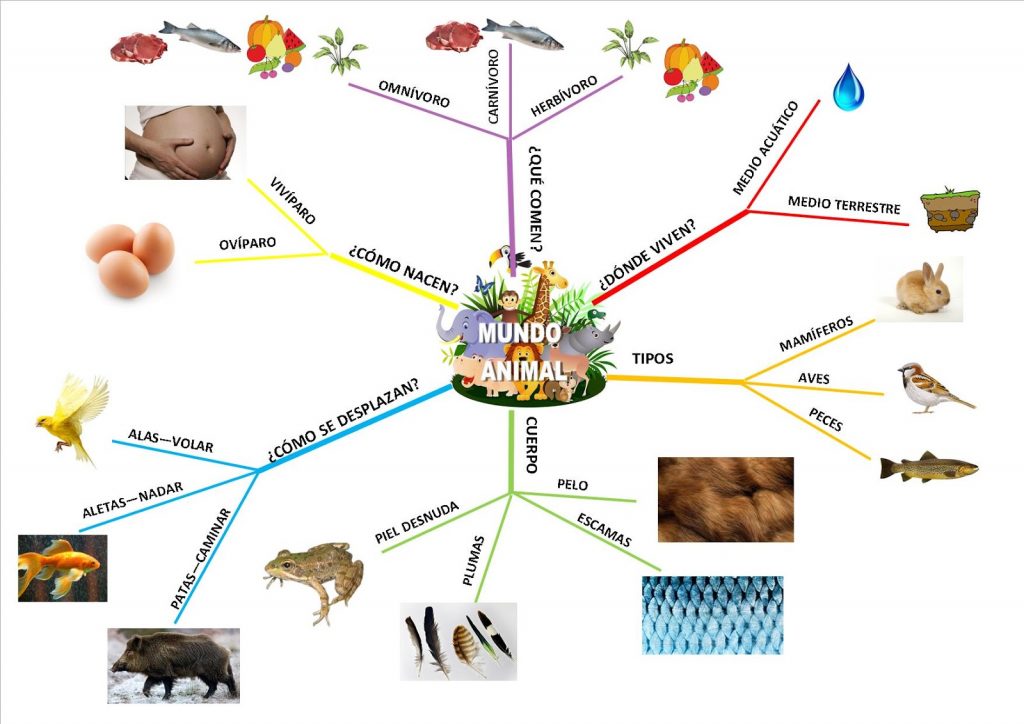 mapa mental animales terrestres	