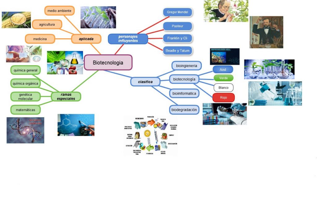 mapa mental de la biotecnologia moderna	